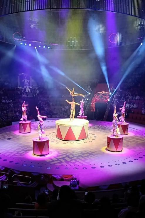 Мы побывали в цирке на "Шоу фонтанов и лазеров"